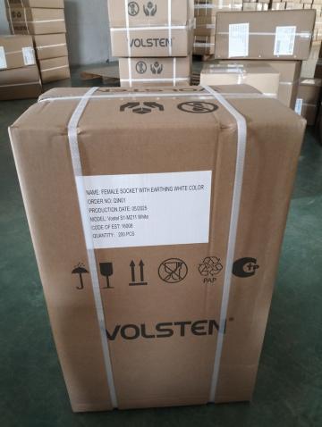 Розетка штепсельная Volsten S1-MZ11 White белая с заземляющим контактом 16А 